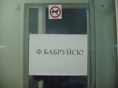 В бобруйск