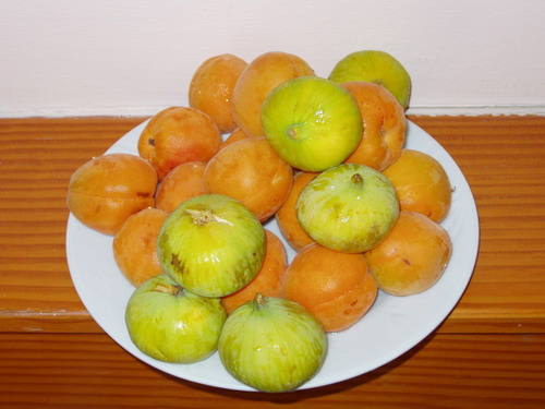 абрикосы и инжир