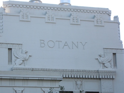 botany.jpg